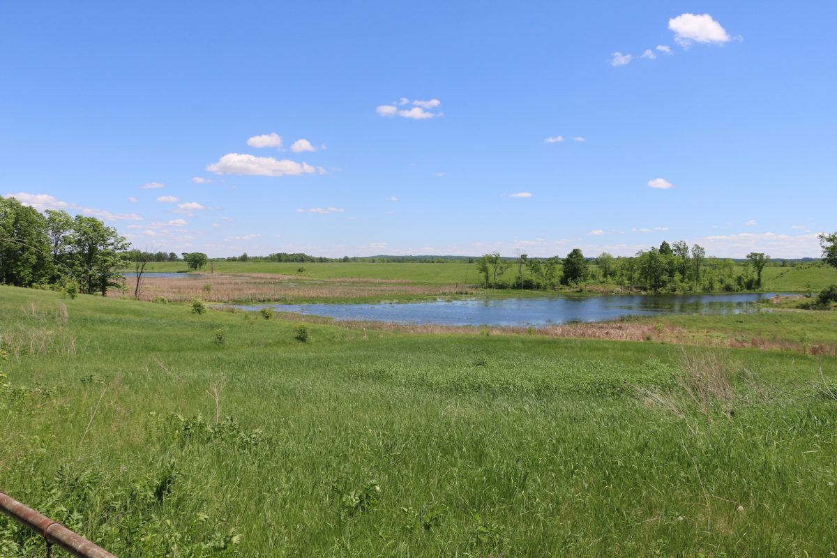 Réserve naturelle du Marais-Trépanier