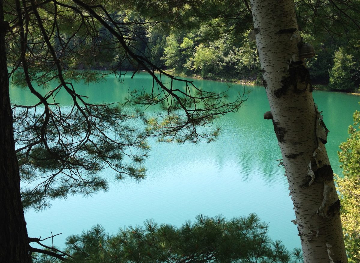 Lac Pink