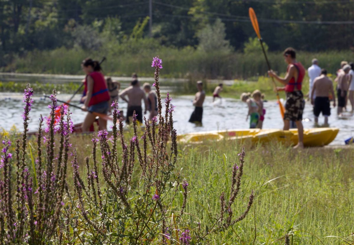 Parc du Lac Beauchamp. Photo : Ville de Gatineau